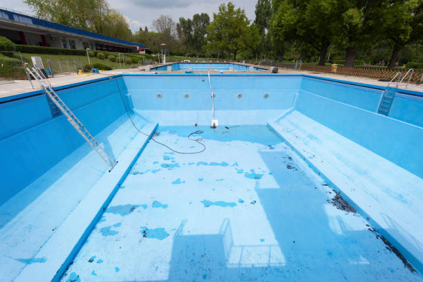 Best Basement water damage restoration  in Terrace Heights, WA